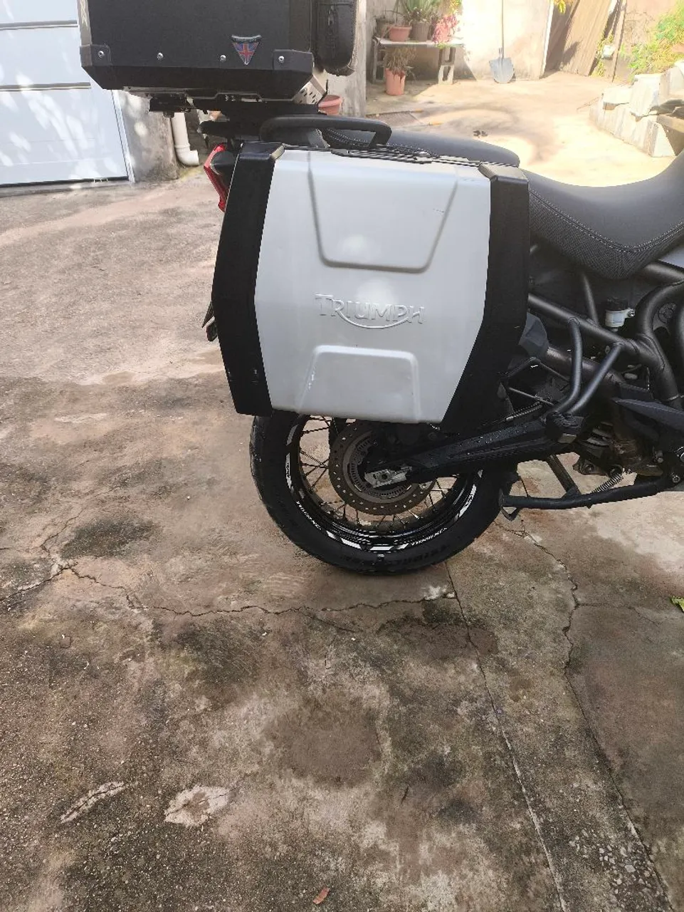 Baú Lateral Triumph Tiger