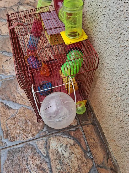 Gaiola Para Hamster - Foto 3