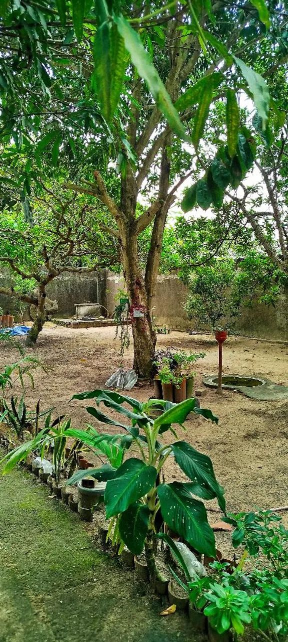 Vendo casa em Itapissuma  - Foto 3