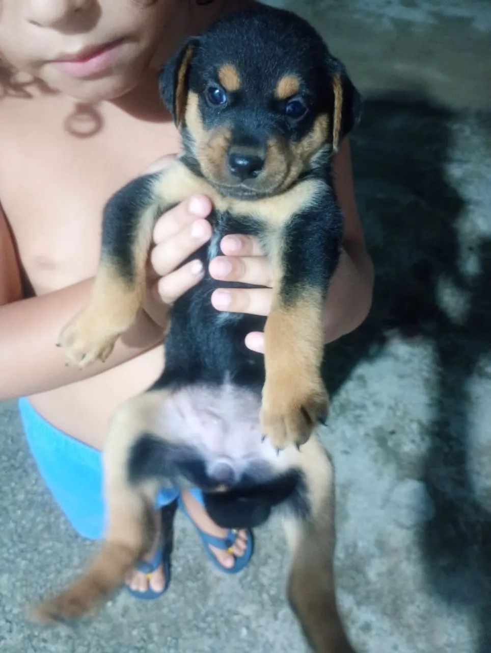 Doação responsável - Foto 2