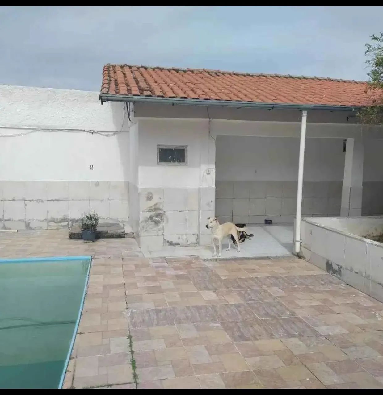 Excelente localização  - Foto 3