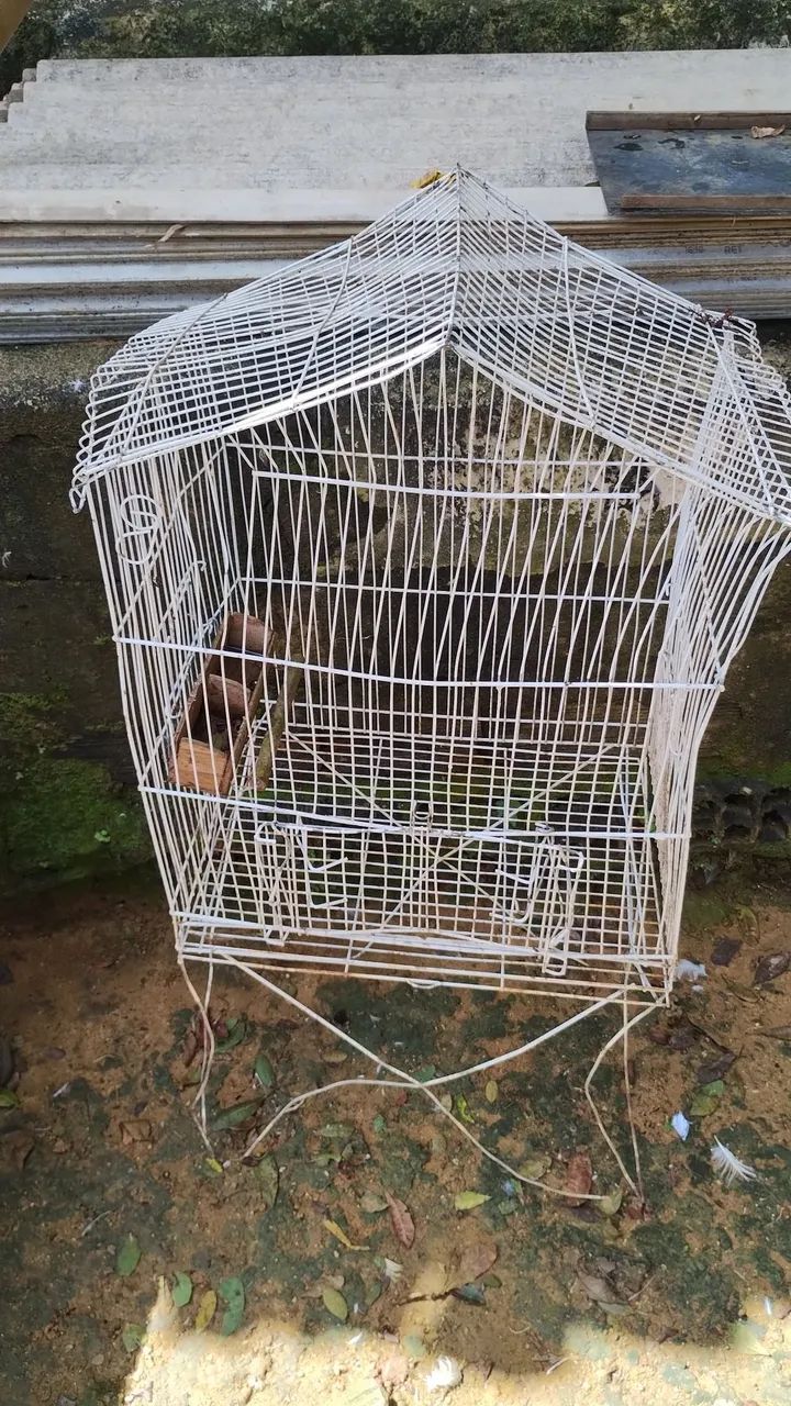 Vendo essa gaiola 