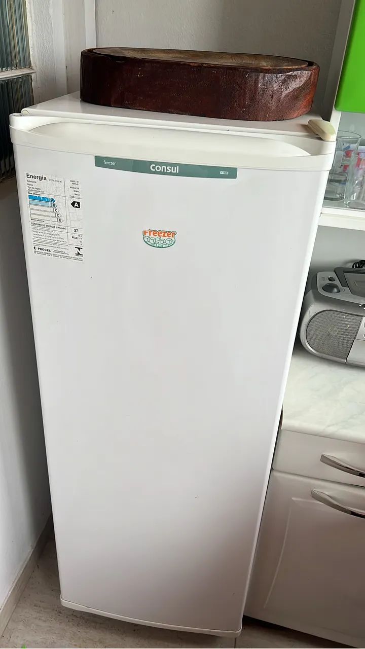 Freezer vertical 