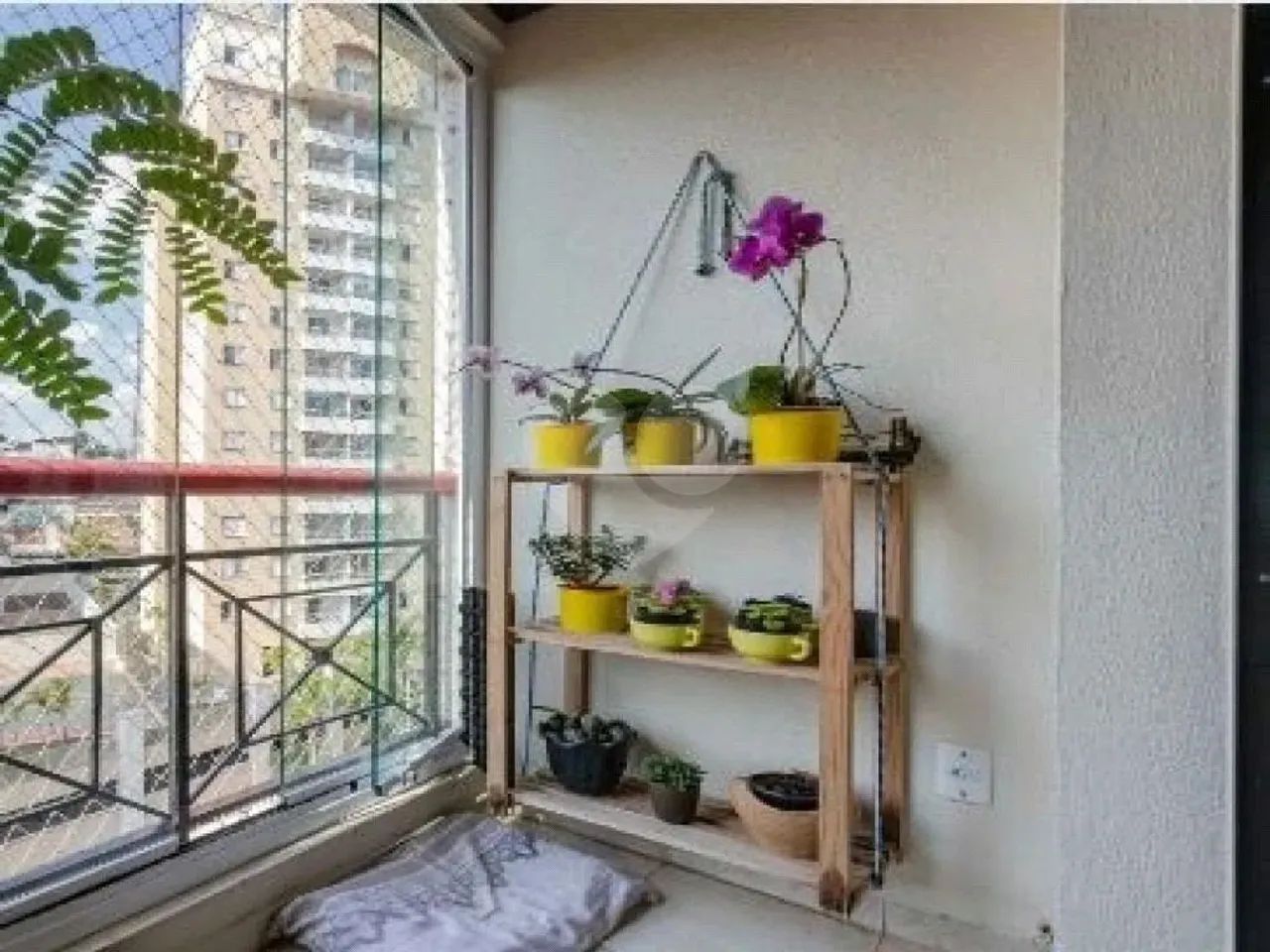 Apartamento em Vila Sônia - Foto 4