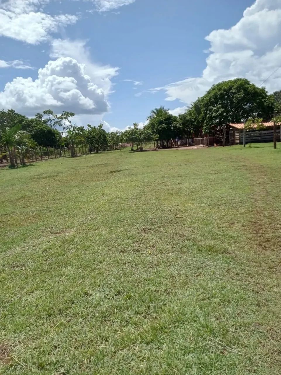 Vendo chácara bem localizada a 15 km de Alenquer  - Foto 4