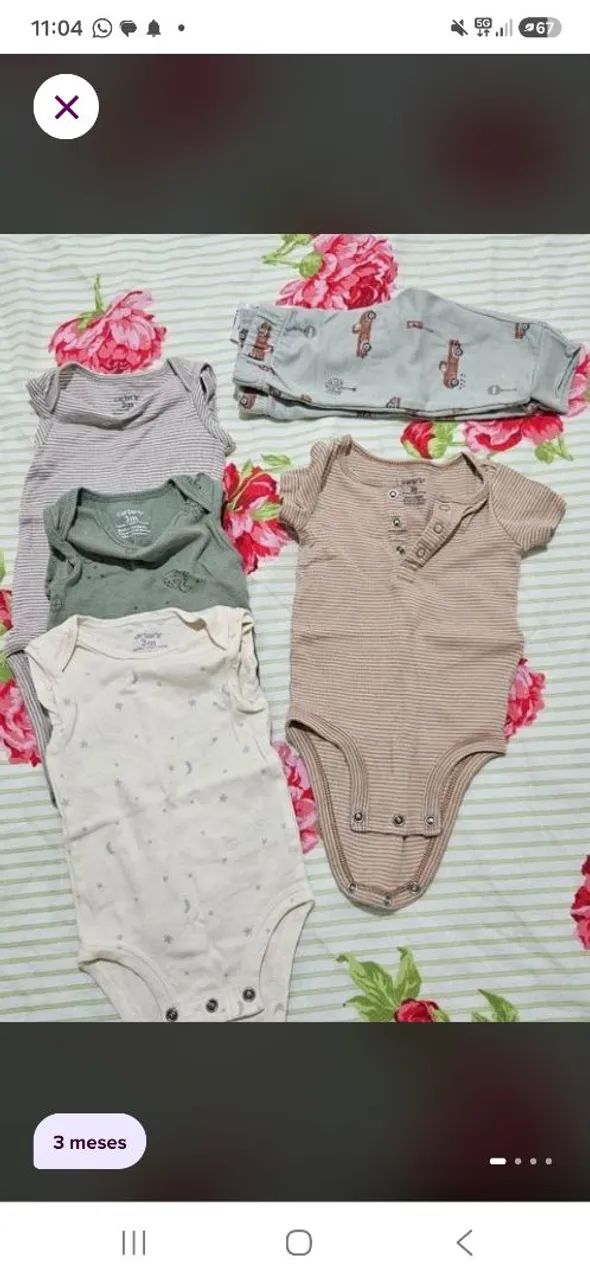 Lote Carter's 