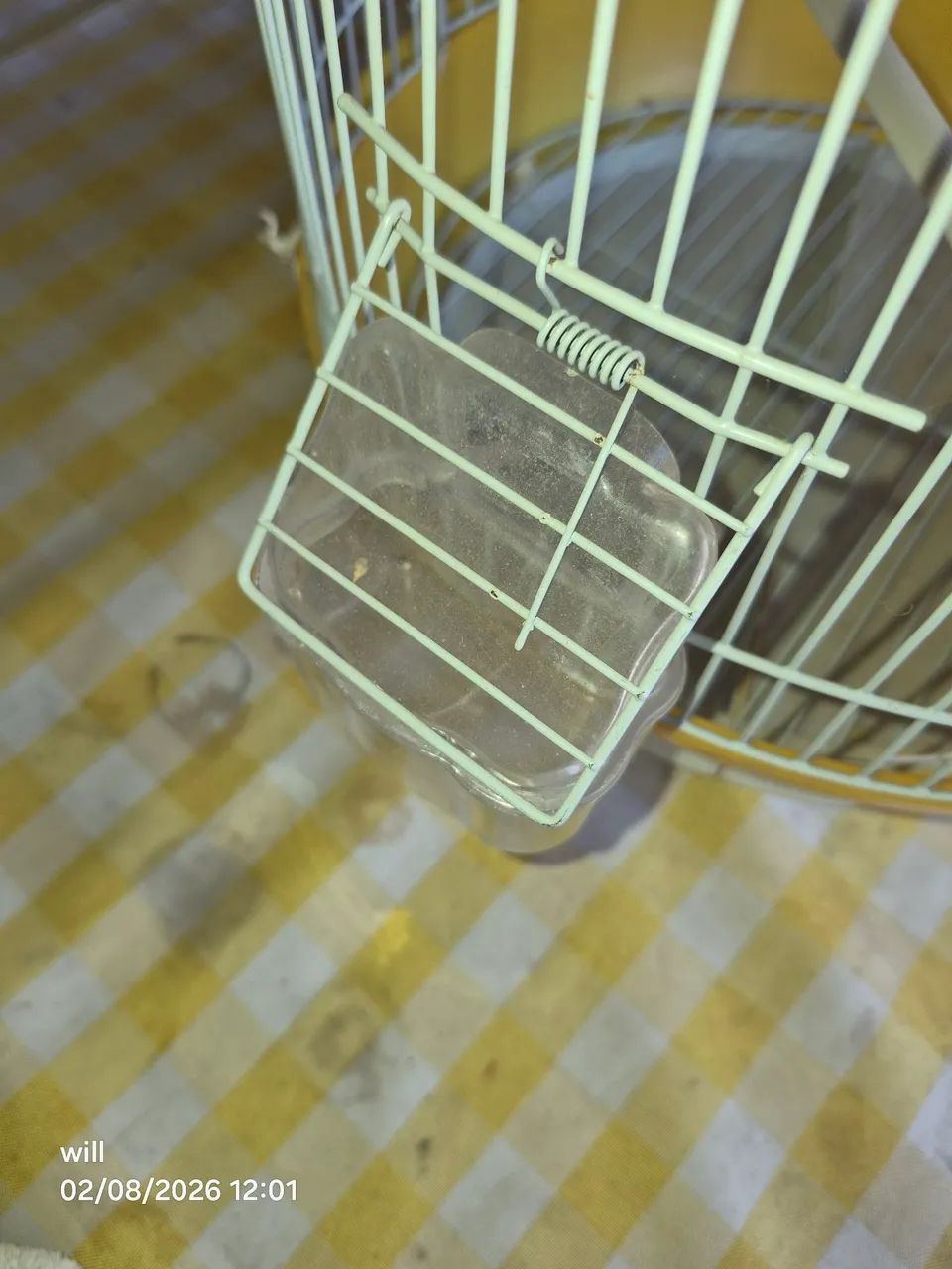 Gaiola - Foto 2