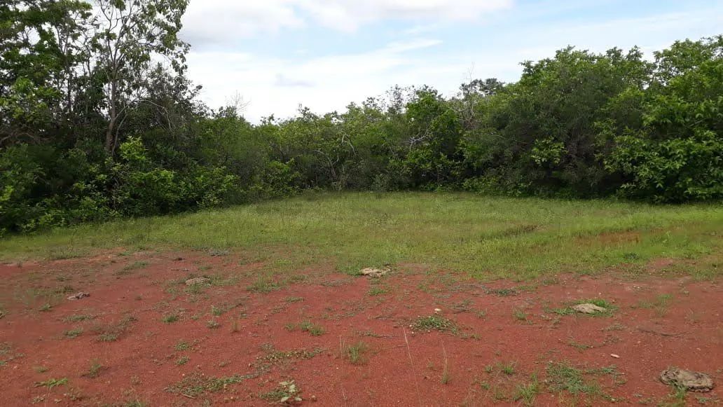 Imóvel Rural  - Foto 2