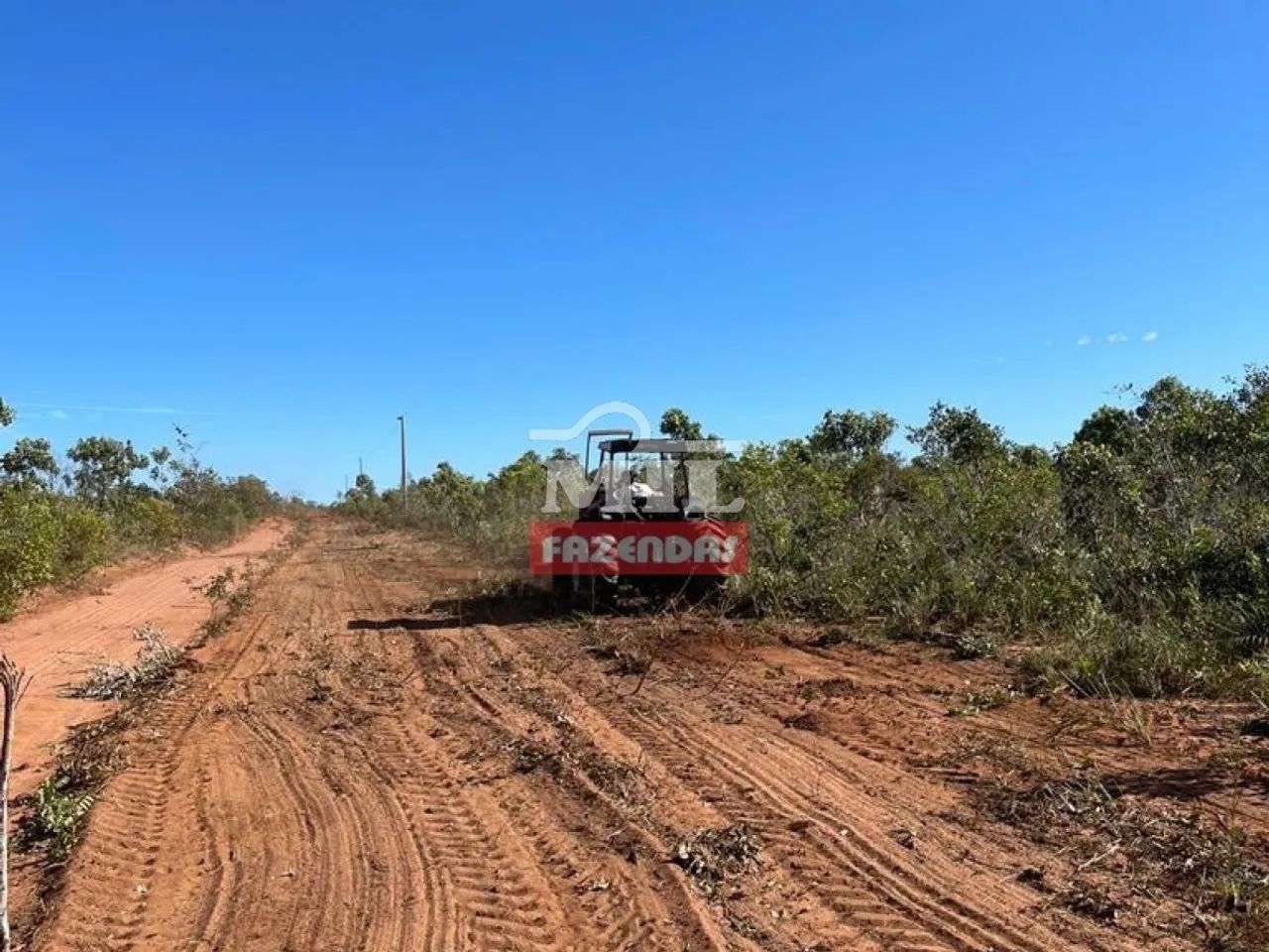 Fazenda com 8 Anos de Prazo no Tocantins. (13.000 Hectares) - Foto 4
