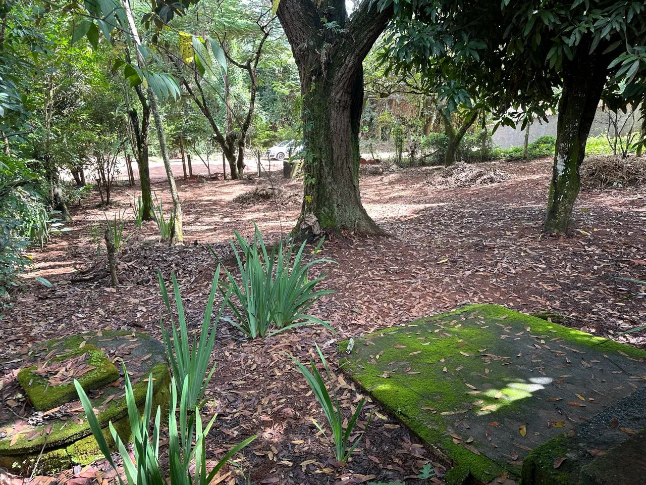 Imóvel 1200 mts Mateus Leme MG - Foto 2