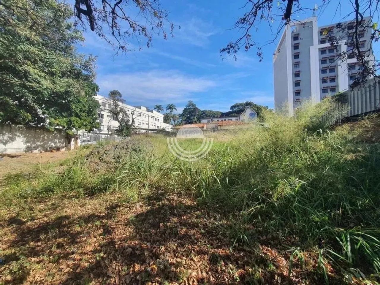 Terreno à venda em Campinas, Vila Itapura - Foto 4