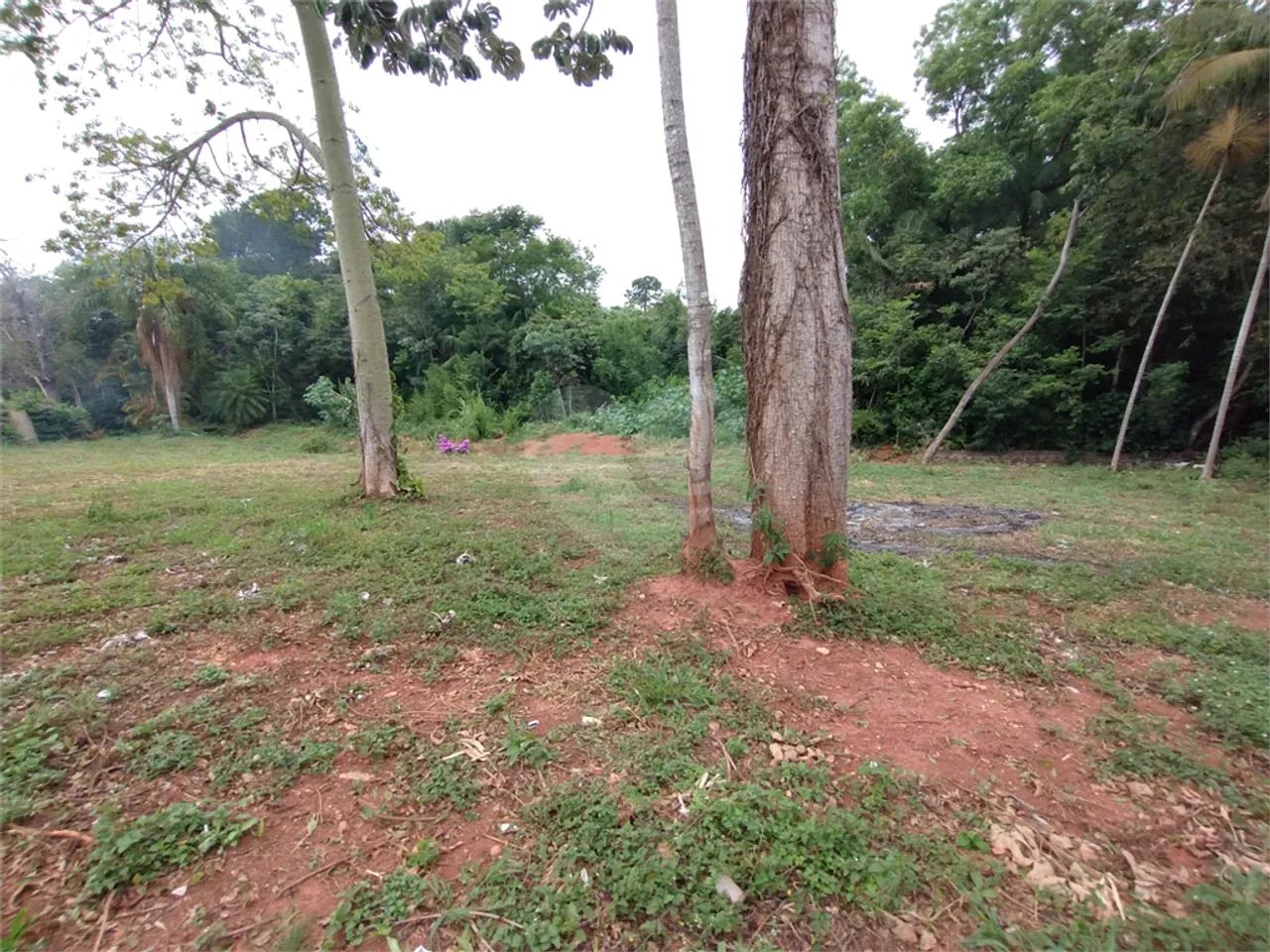 Terreno à venda em Jardim brasil - SP - Foto 5