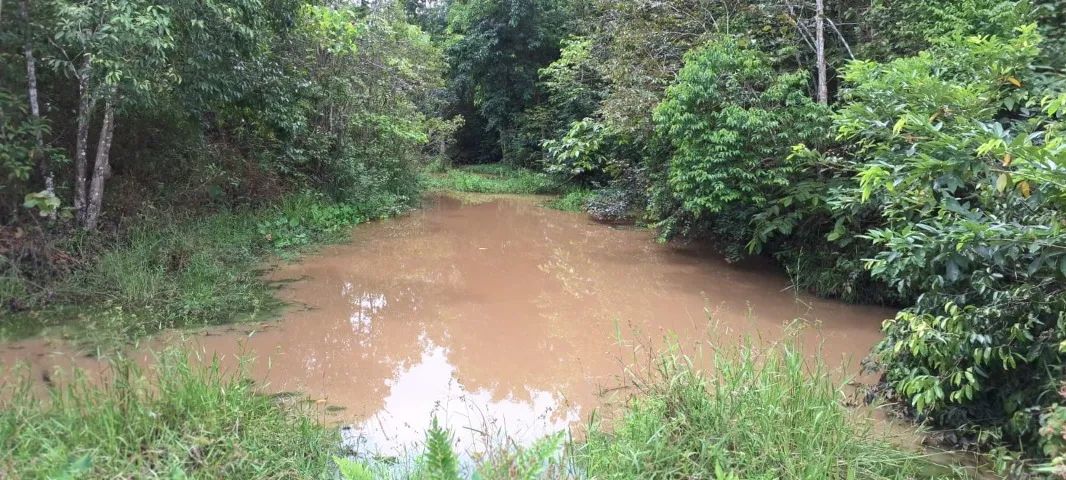 Vendo Sítio 3 Hectares com Açude e Cacimba de Água Mineral - Foto 3