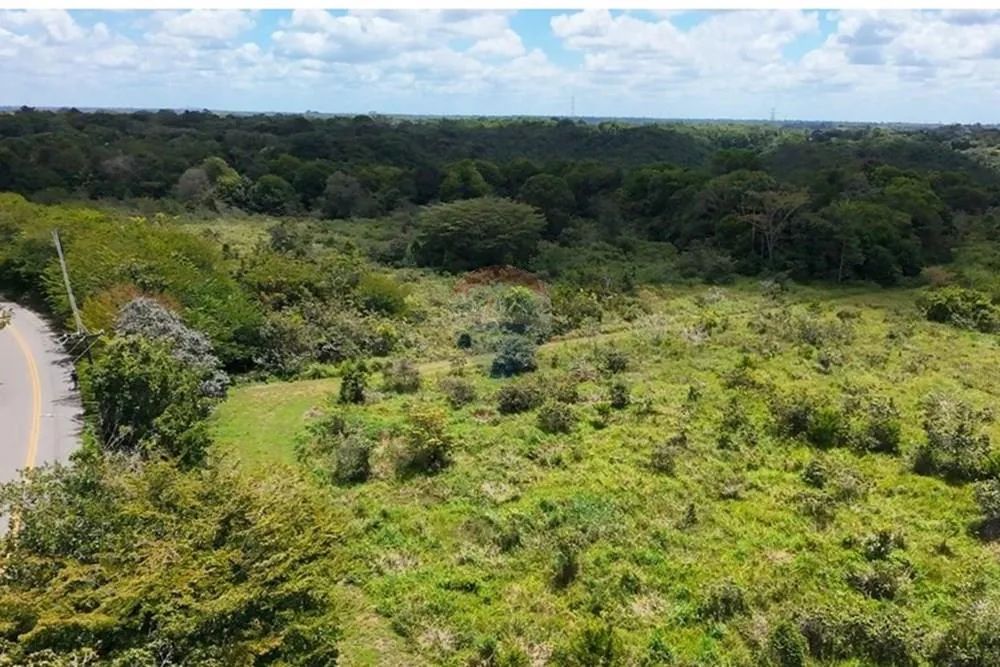 Terreno Amplo e Estratégico em Guabiraba, Recife - Foto 3