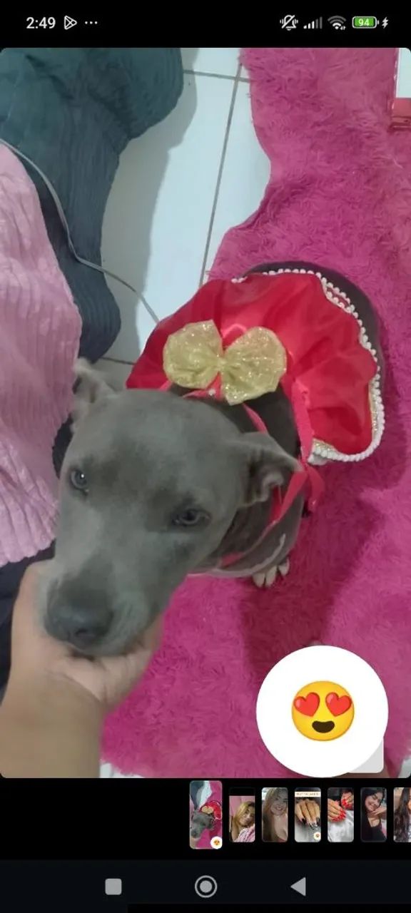 Doa-se cachorrinha 