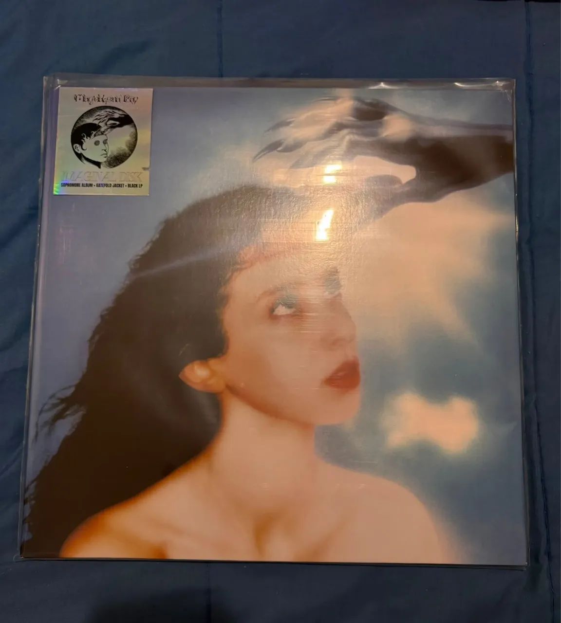 Vinil Imaginal Disk Magdalena Bay