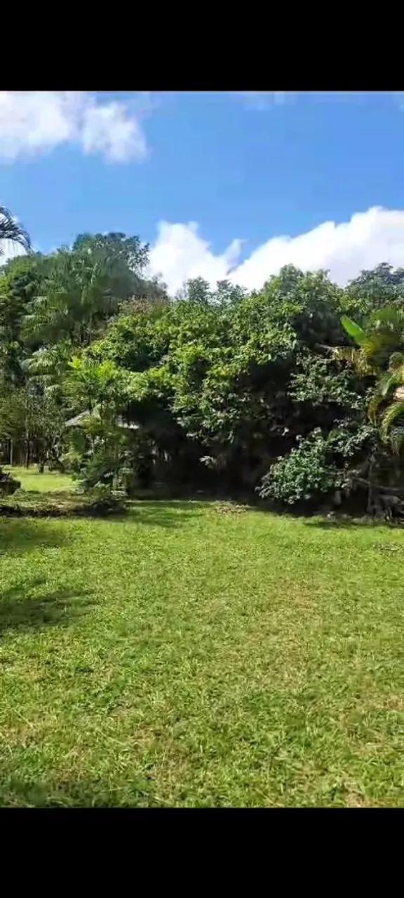 Vendo Exelente Chácara em Belém! - Foto 4