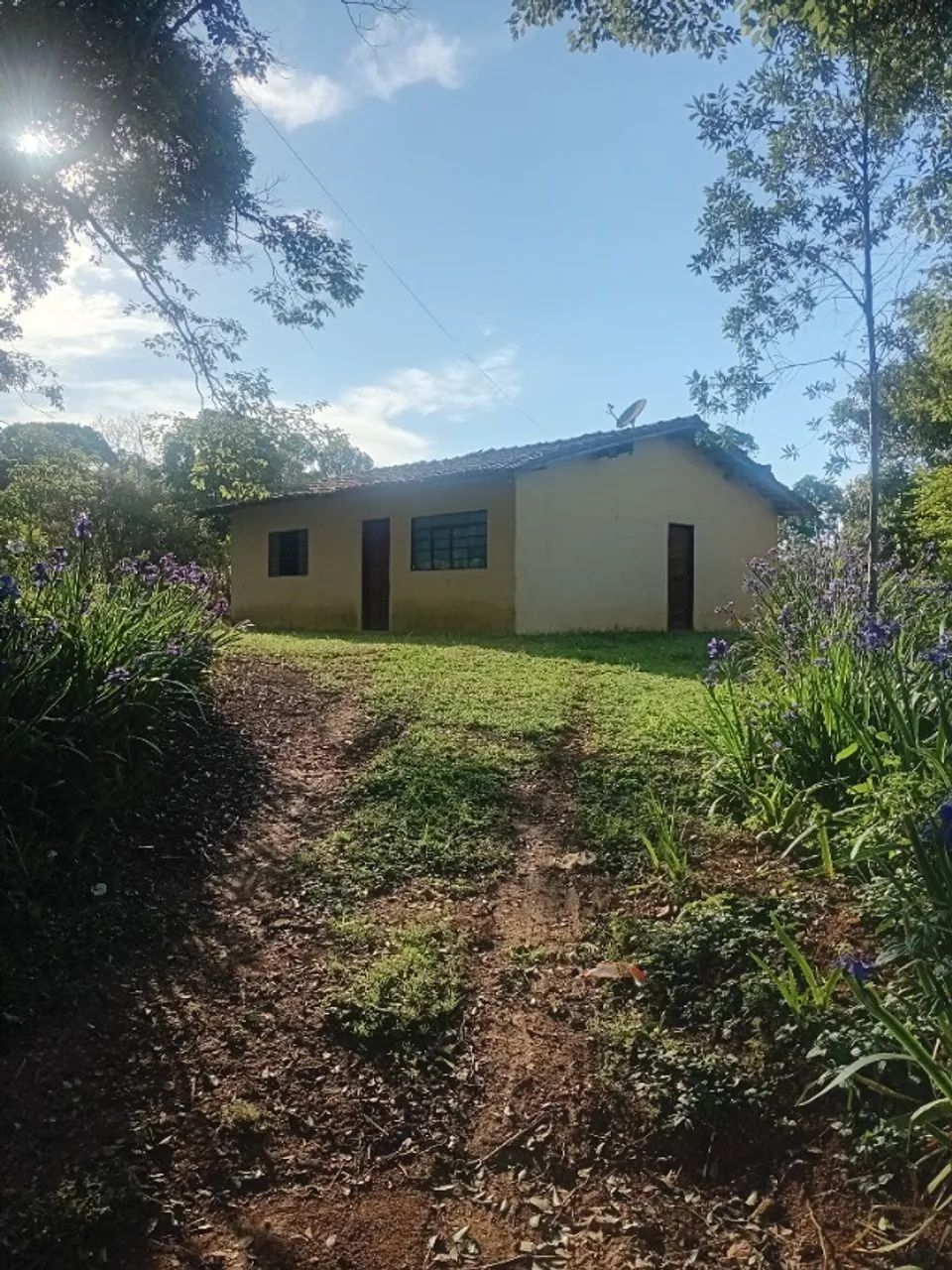 Foto - Piedade - Miguel Ruço de Baixo