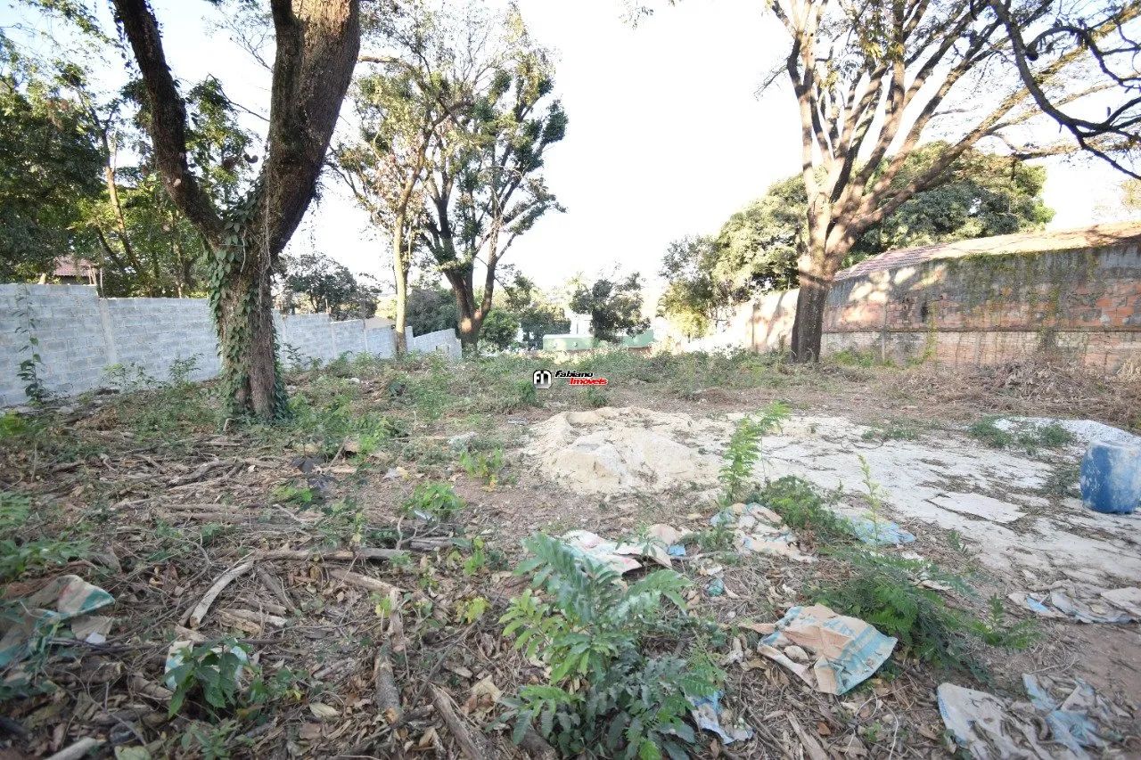 Lote com 500m² no bairro Santa Amélia - Foto 2