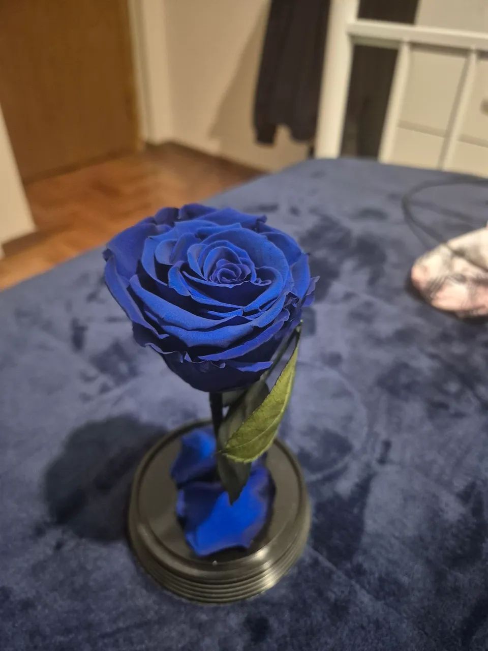 Rosa encantada na cupula - Foto 2