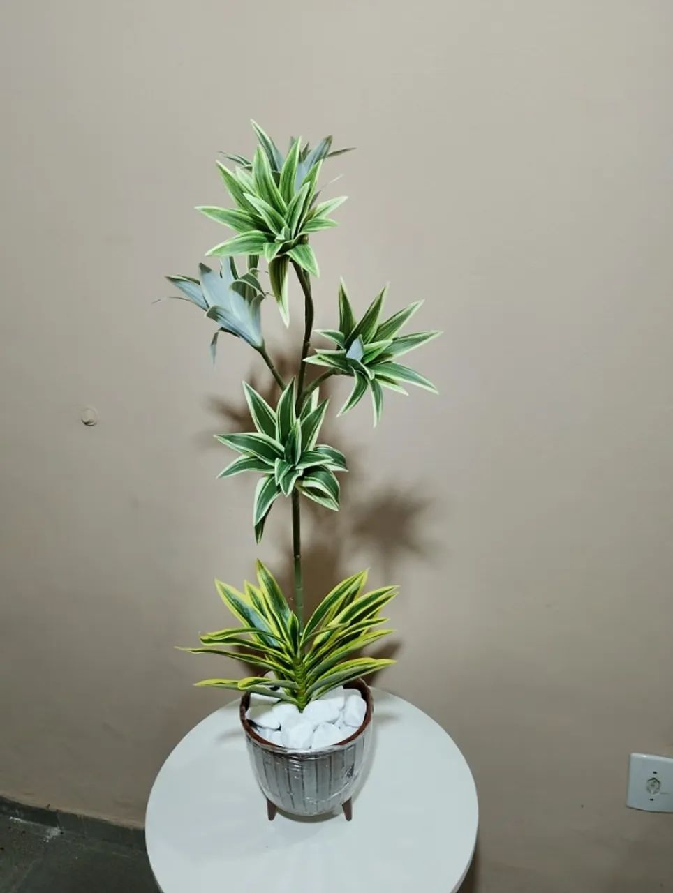 lindo arranjo de dracena brasileirinho permanente - Foto 4