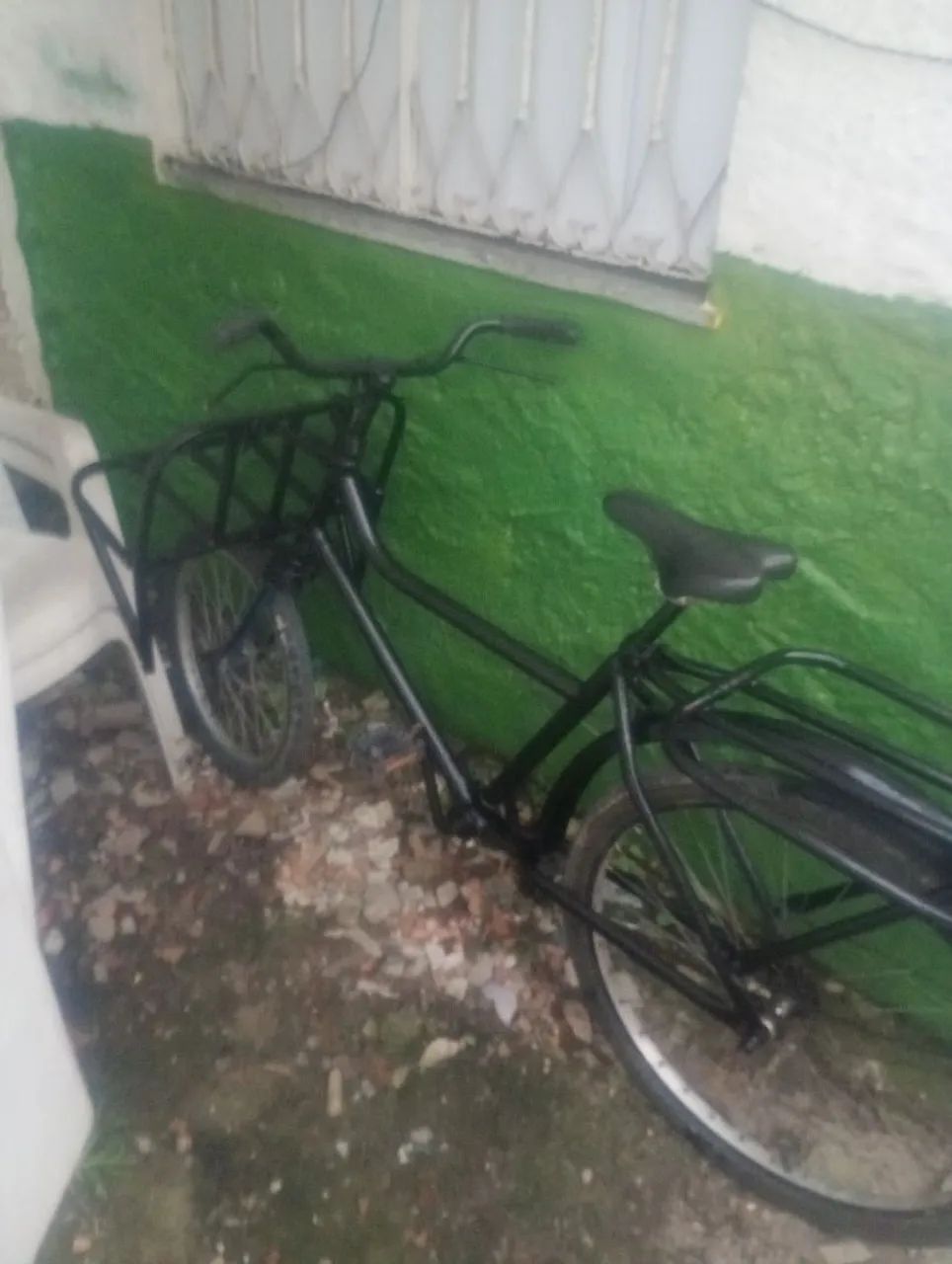 Bicicleta cargueira 