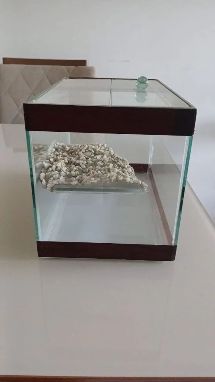 Aquaterrario 8L  - Foto 2