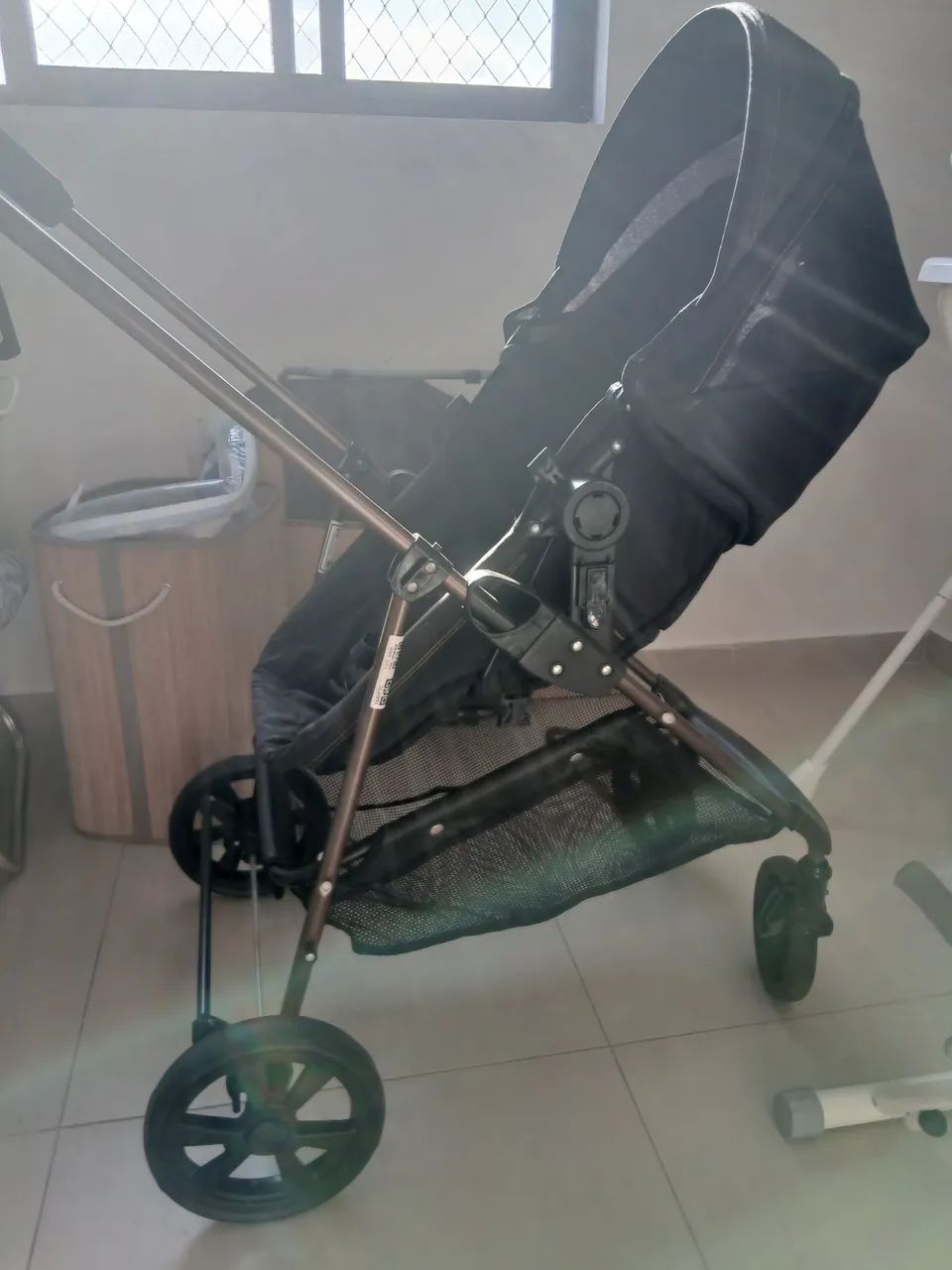 CARRINHO DE PASSEIO + MOISES 