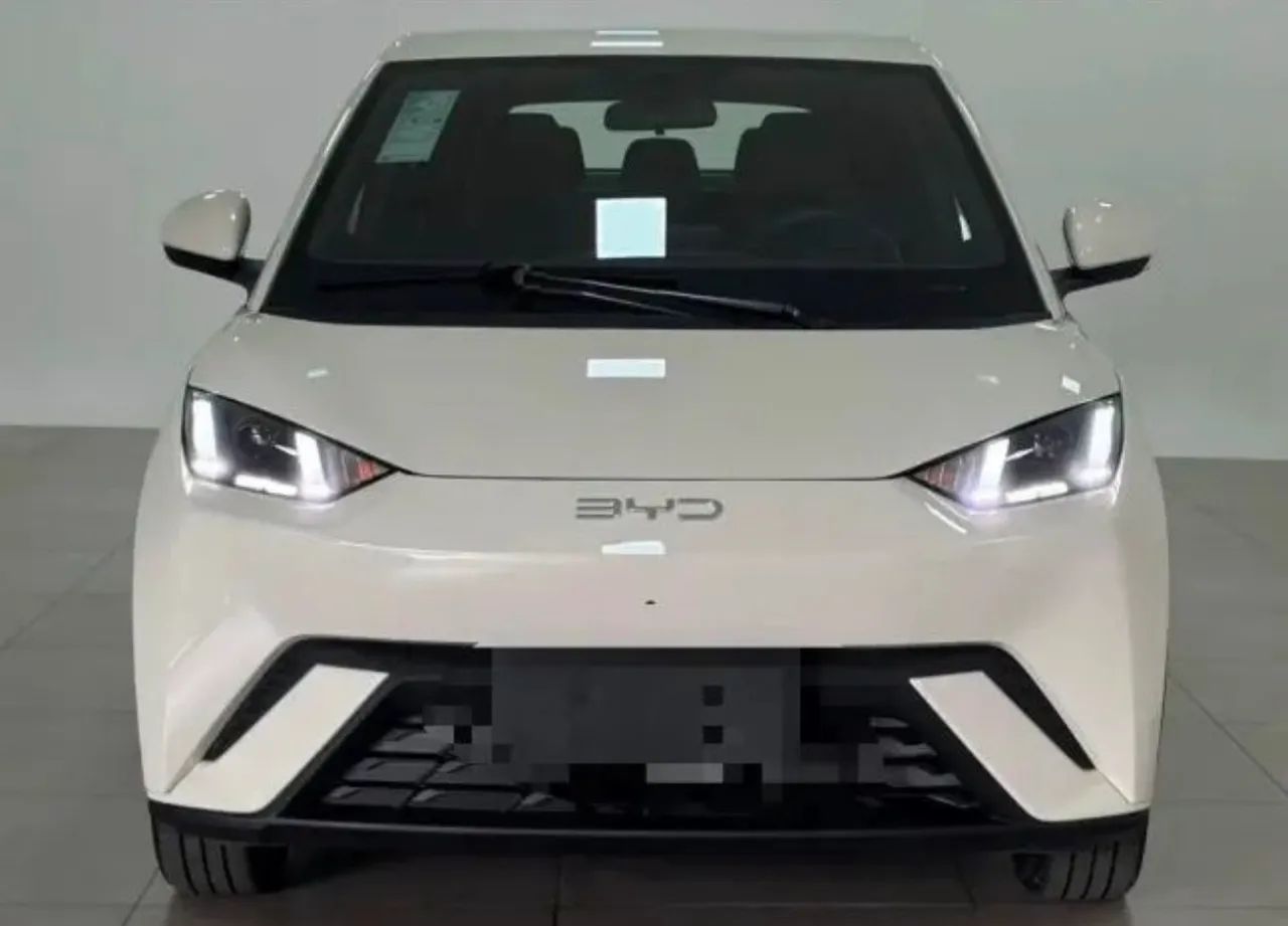 BYD Dolphin Mini (Elétrico) 2026 - Foto 2