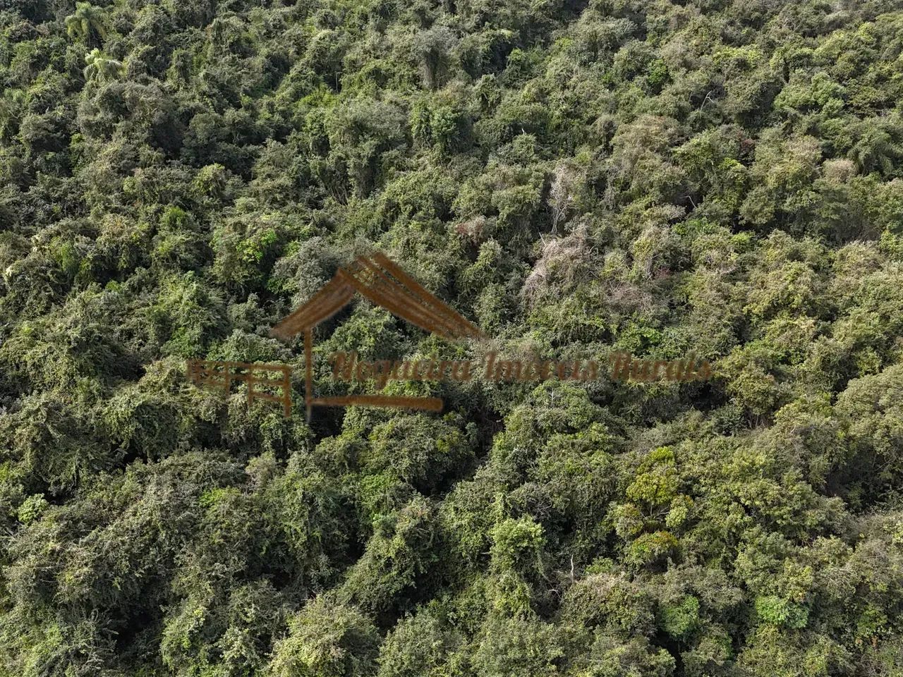 Fazenda com 320 alqueires com mata para reserva ambiental. - Foto 5