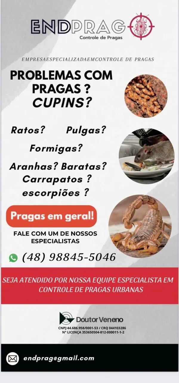 Dedetização