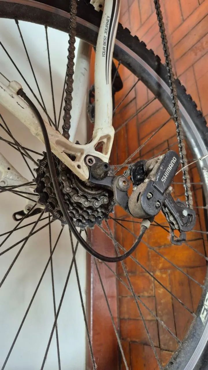 Bike Mosso Odyssey  - Foto 2