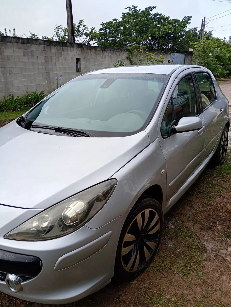 Peugeot 307 307 Feline 2.0/2.0 Flex 16V 5p Mec. 2007