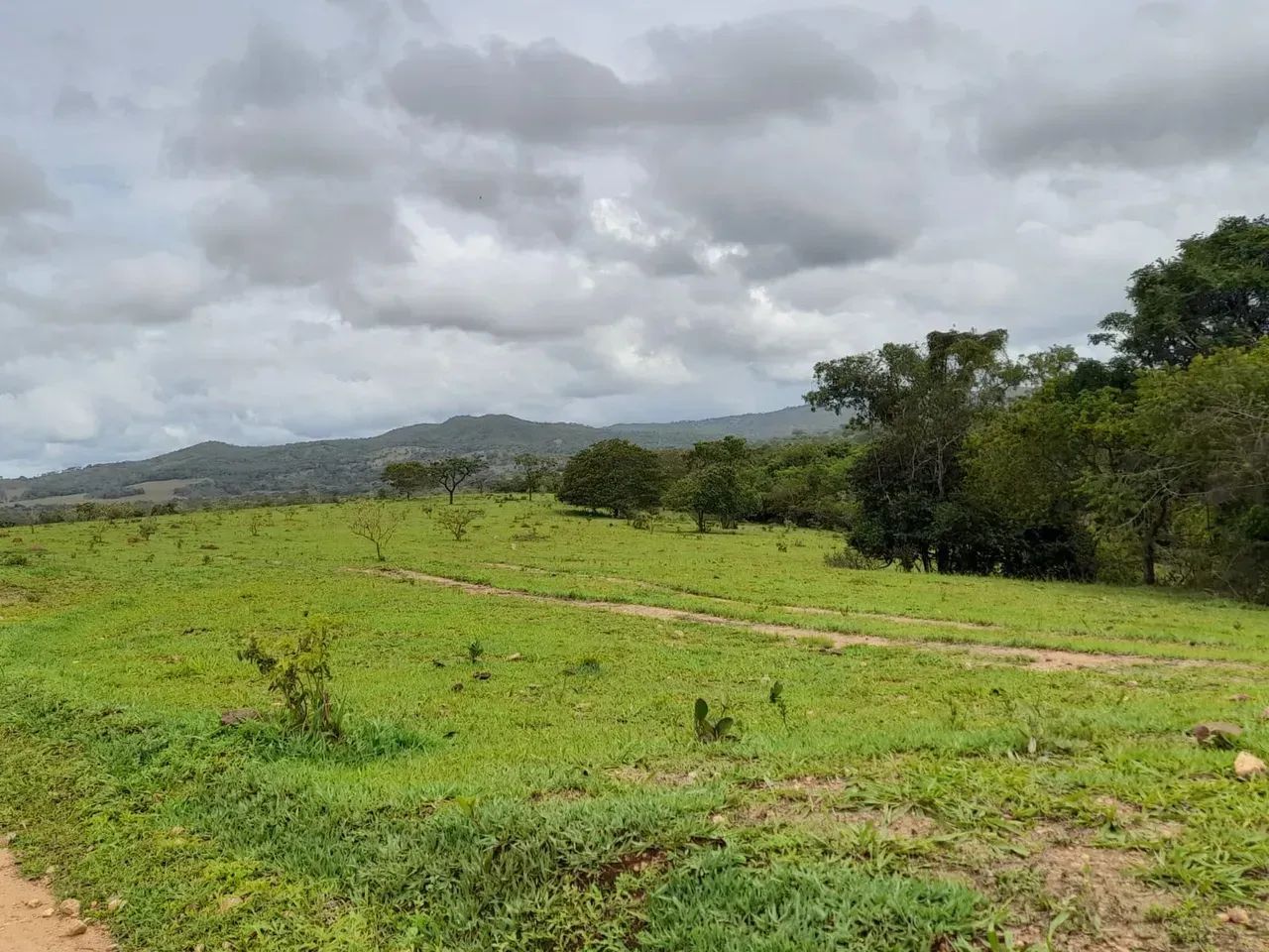 Fazenda a venda em Davinópolis Goiás!!! - Foto 2