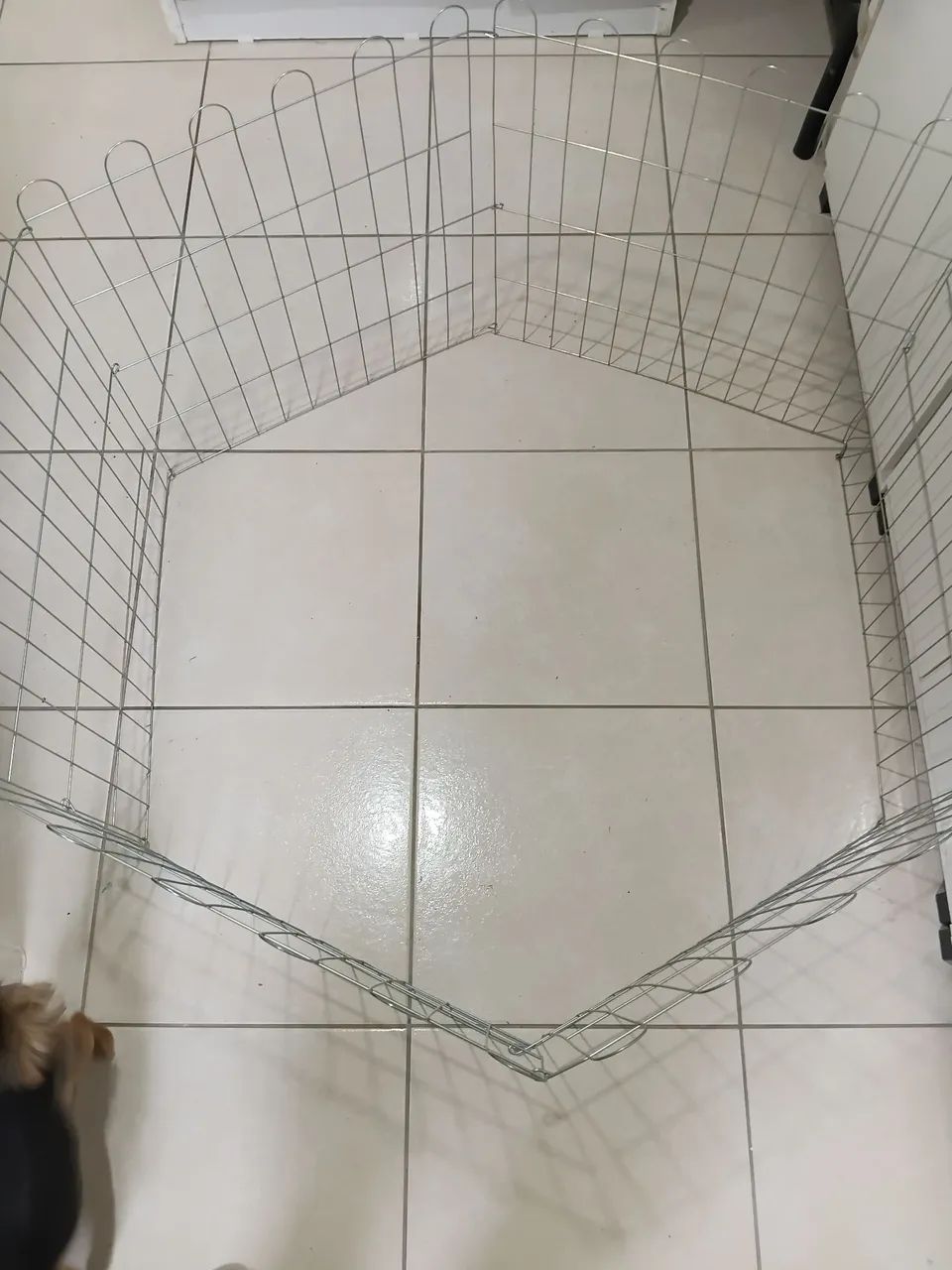 LIMITAÇÃO PARA CÃES E PETs - Foto 2