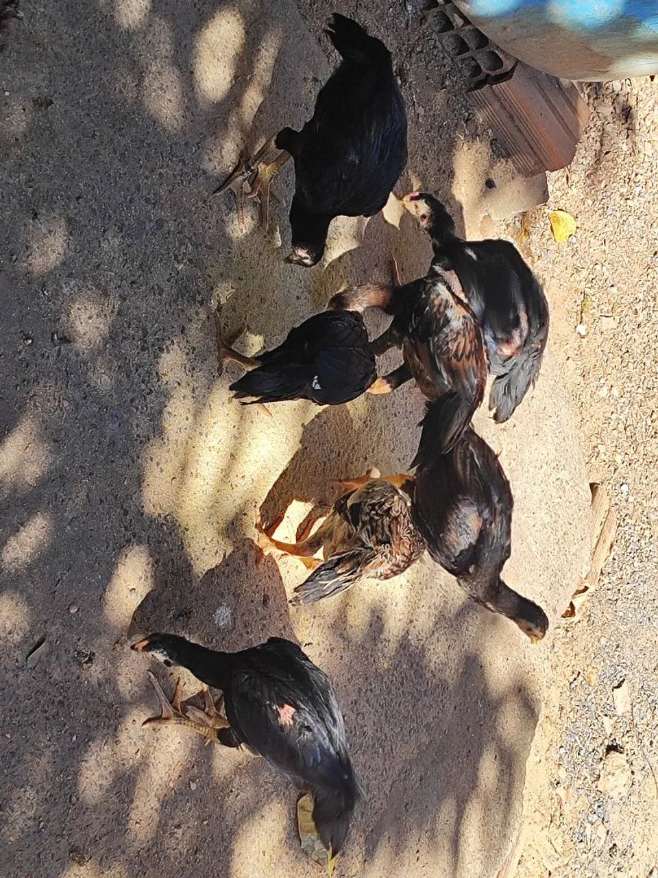 Vendo  - Foto 2