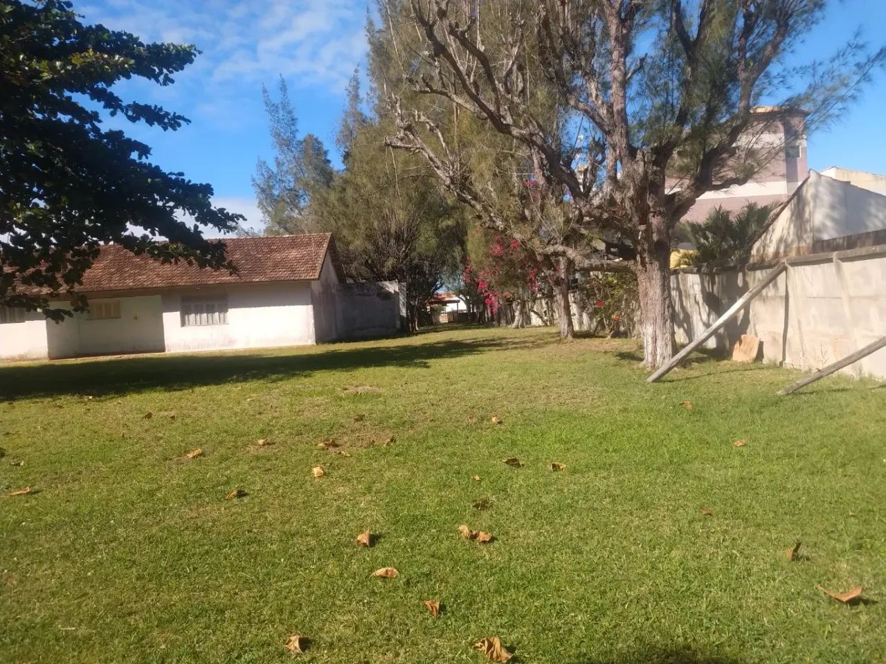 Área na Avenida liberdade Grussaí - Foto 4
