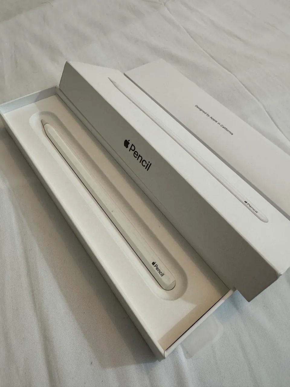 Apple Pencil 2ª Geração 