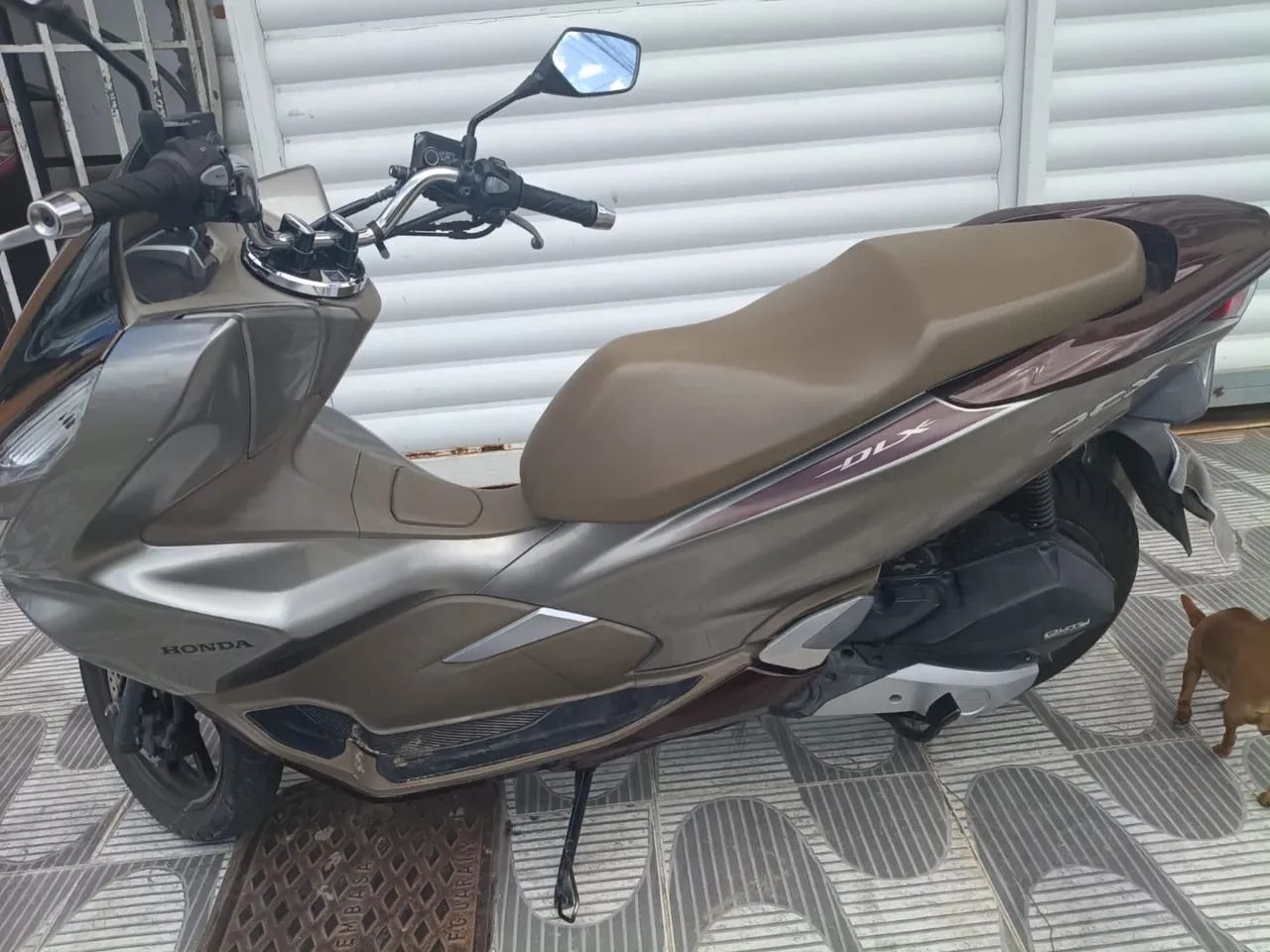 Pcx DLX - Foto 4