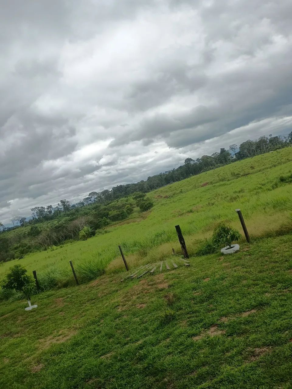Não tem  - Foto 4
