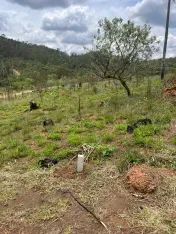 He Lotes planos para chácaras! Fácil Negociação! - Foto 3