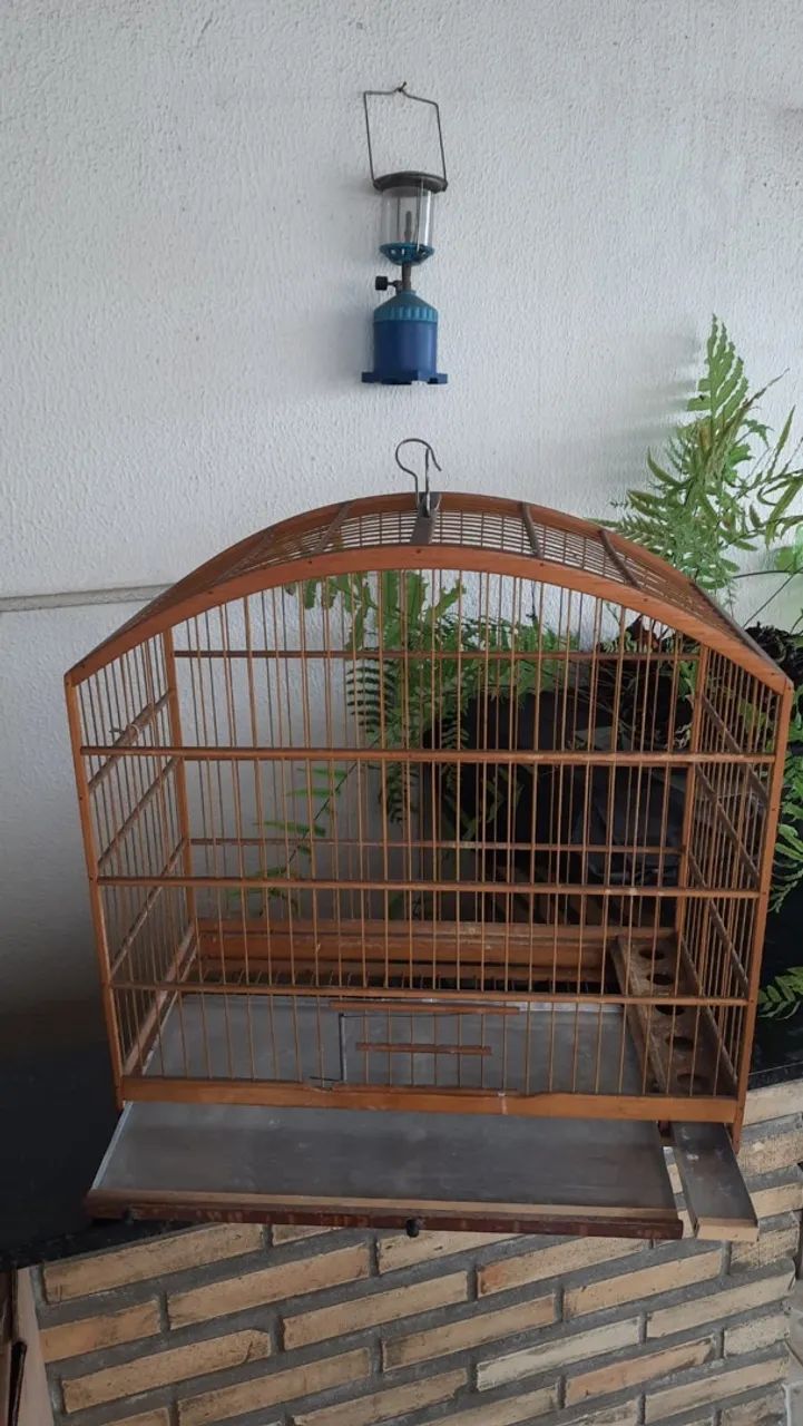 Gaiola - Foto 3