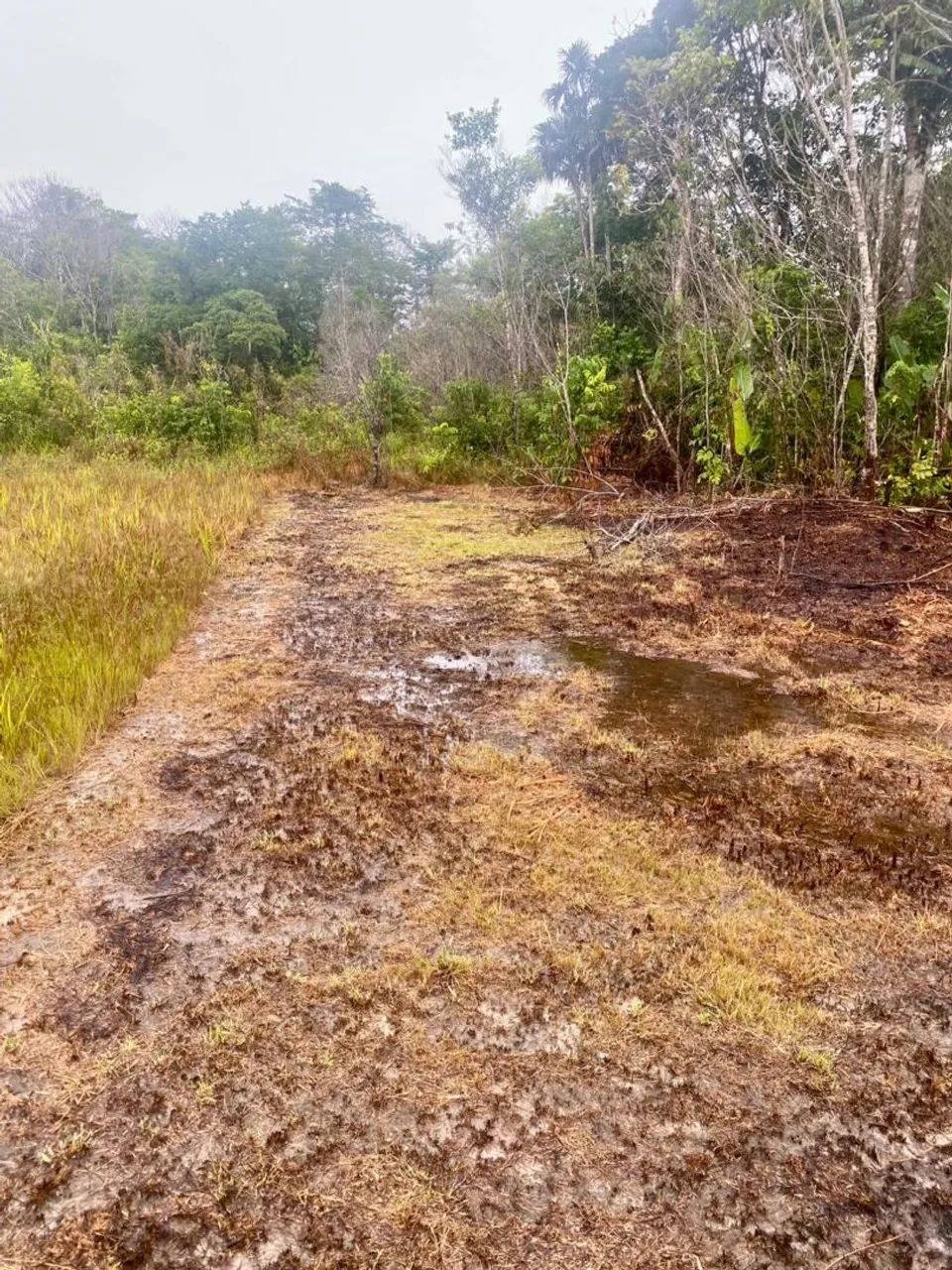 Terreno em mosqueiro INVESTIMENTO - Foto 4