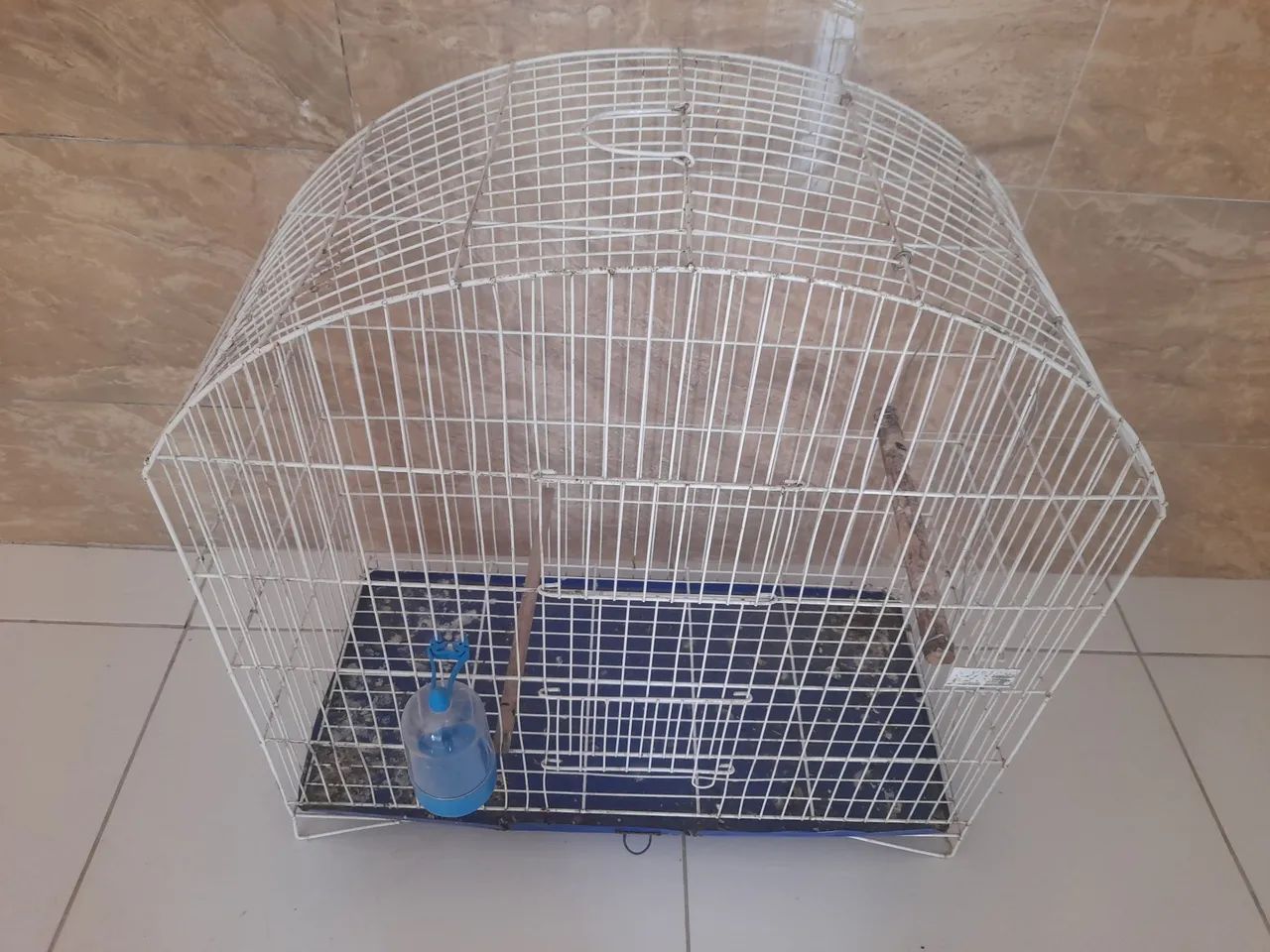 GAIOLA NOVÍSSIMA - Foto 2
