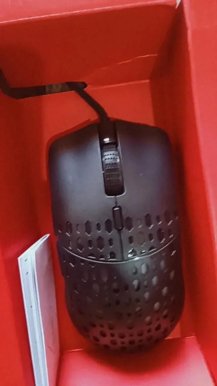 Mouse