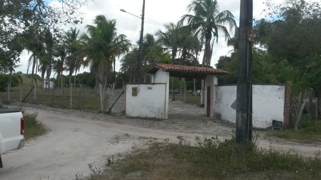 Terreno para Condominios - Foto 4
