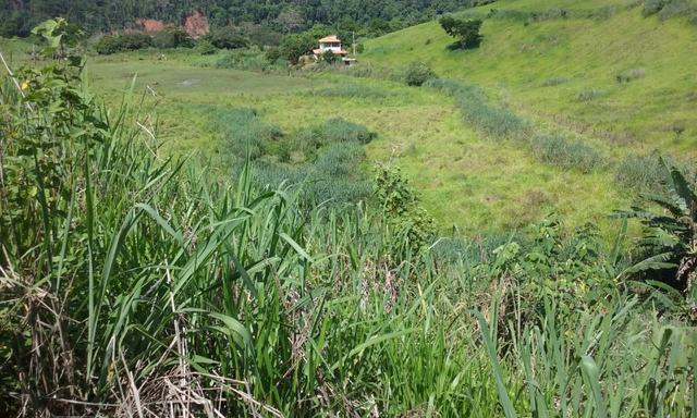 36 hectares na região pingo dagua - Foto 4