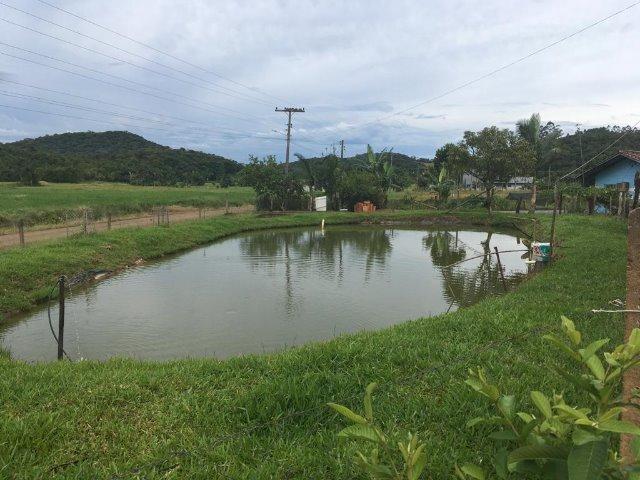 Chácara Na Caixa D´Água em Guaramirim - Foto 9
