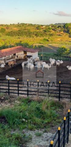Fazenda em Bonança com 20 hectares (Cód.: 123que) - Foto 9