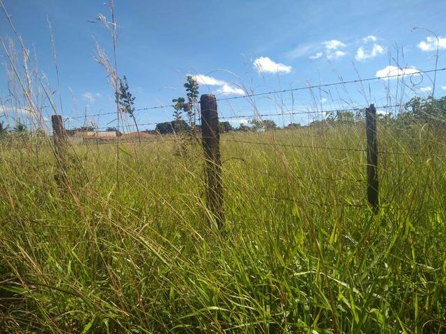 Área 20.000m2 BR 040 KM 5,6 - Próximo depósito Carrefour - Foto 2